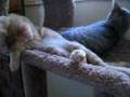 M-lounging