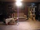 Girl Fight
