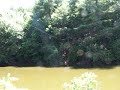 zipline-blues.html