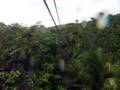 videos de St Lucia Zipline