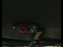 wp suspension racing & aftermarket dept. go racing