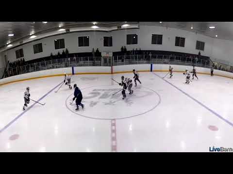 Will Martin 2022-23 High School Hockey Highlights