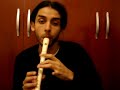everton do n. siqueira interpreta tico tico no fub� na flauta soprano.