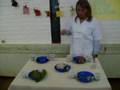 Feira de ciencias - corantes naturais