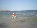 videos de delfino a playa d'en bossa