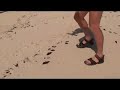 Micro R/C 12g plane flying in high wind on beach