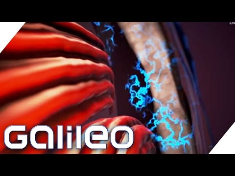 Sixpack durch das Gadget Sixpad | Galileo Lunch Break