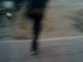 videos de Kedi show