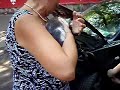 crazzy russian cat
