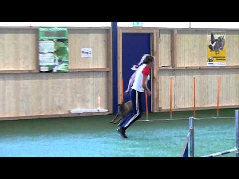 Fodor Lili - Bárd IMCA 2010 Fräschels team agility
