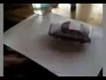 Paper Twin cam