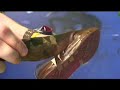 Thread Heads Quickie - Save Your Old Shoes