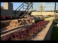 Palo Verde and Southwest Railroad 17
