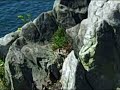 On the Cutler Coast trail, downeast Maine