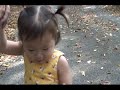 Family Testimonies