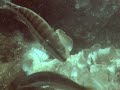 Fondali Lido Esagono