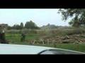 videos de Knotten 6