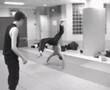 cilp entrainement