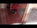 Pas De Dancehall 972 dance malade même ou pé pa test