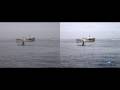 Whale Watching Enhanced with vReveal