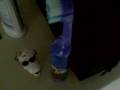 Snoopy Chronicles