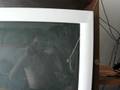 videos de Mosca congelada