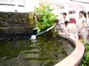 school CVSS