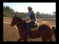 videos de Cantankerous Clyde - 11.19.08