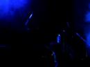 MustyWig - Evoluton live @ nziria zoo festival