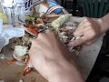 How to eat crabs by Pan Hu