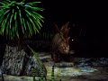 Walking with dinosaurs Stegosaurus en Allosaurus Ahoy Rotterdam