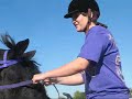 Barrel Racing Amigo 2
