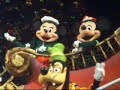 HKDL - Christmas Tree Lighting (Mickey & Minnie Ver.)(11/11)