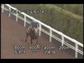 videos de [調教] 081008 マイネレーツェル 「秋華賞」一週前追い切り