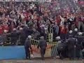 CSKA SOFIA HOOLIGANS !!!!!