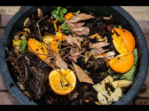 Wurmzucht selber bauen