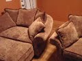 Flooring and Paint