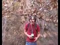 Miedo en la selva