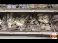 WTF?!: Doggie Shoplifter
