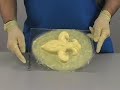 How to make a Latex Mold How to make a Latex Mold
