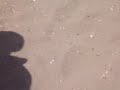 crise école sénégal/le droit n'a pas peur de la violence et elle ne saurait l'arrêter