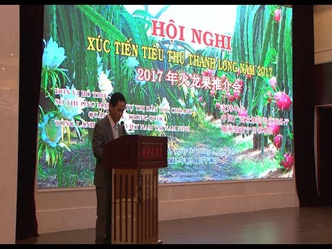 Xúc tiến tiêu thụ Thanh Long Bình Thuận năm 2017