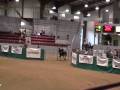Barrel-Racing-at-the