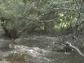 Honolua Stream Flow 6-7-07