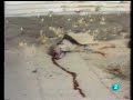 Ceaucescu: la ejecución del cruel dictador rumano y su esposa