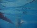 videos de Gruppo Master, Nuoto Adulti Sera LG 21.30 - Sporting Club Noale