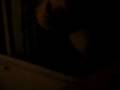 videos de Miranda Cosgrove playing in someones car!