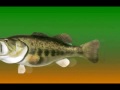 Trigger X - Walleye Series -Nightcrawler