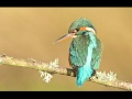 Archangel Haniel: Taking Baby Steps. Guiding Your Loved Ones To The Truth - May 5, 2013