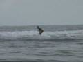 Learning to Surf in Puerto Viejo Costa Rica with Hershel Lewis